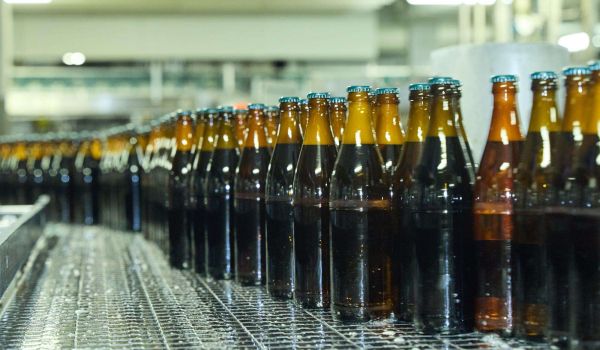 Befüllte Bierflaschen auf ihrem Weg zur Etikettierung.