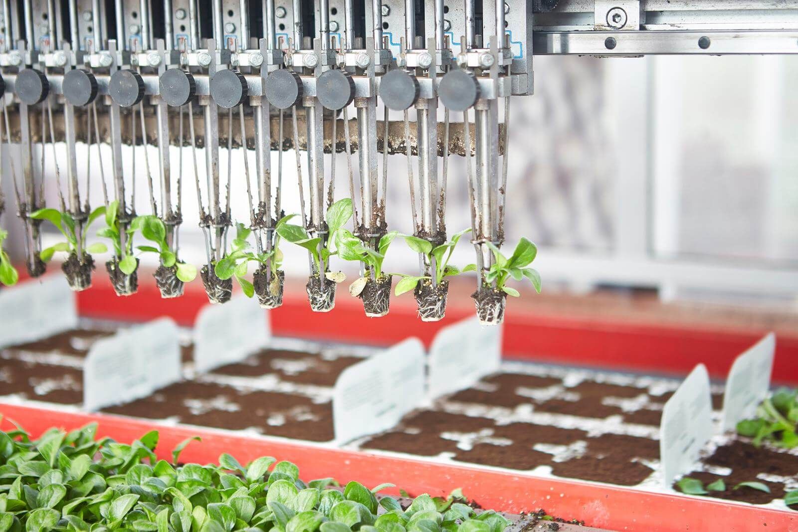 Smart Farming und Kleinstantriebe: Automatisierungstechnik