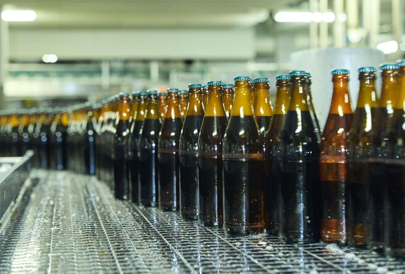 Befüllte Bierflaschen auf ihrem Weg zur Etikettierung.