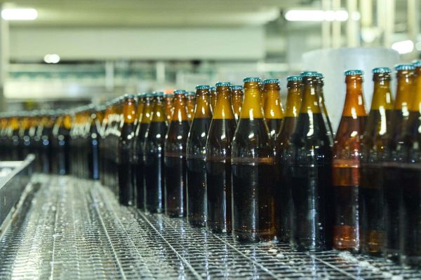 Befüllte Bierflaschen auf ihrem Weg zur Etikettierung.