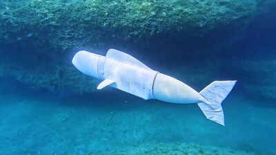 Unterwasserroboter Belle