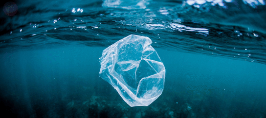 Plastik im Meer - GIF