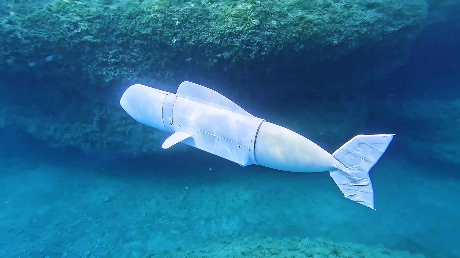 Unterwasserroboter Belle Unterwasserroboter Belle