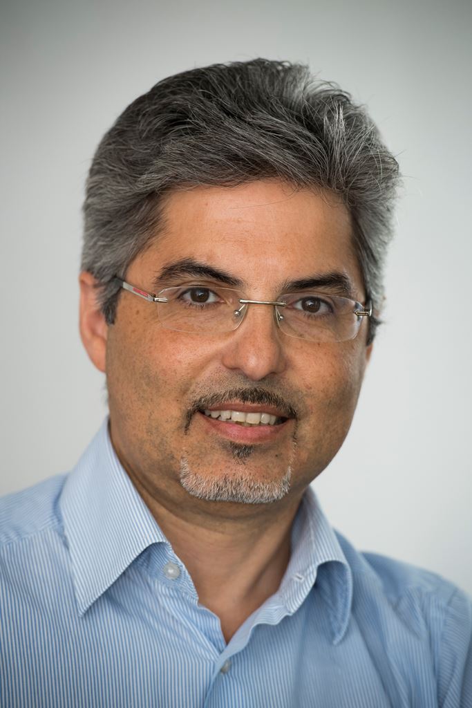 Professor Luigi Occhipinti Professor Luigi Occhipinti