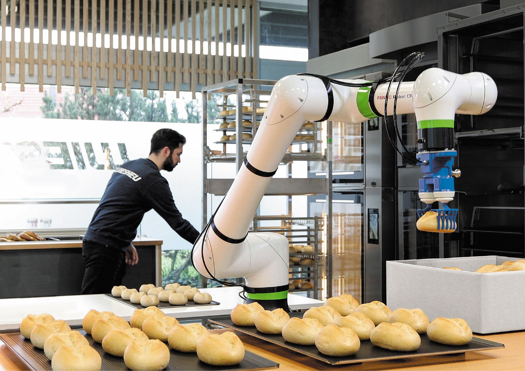 Der Einsatz von Roboter-Automation