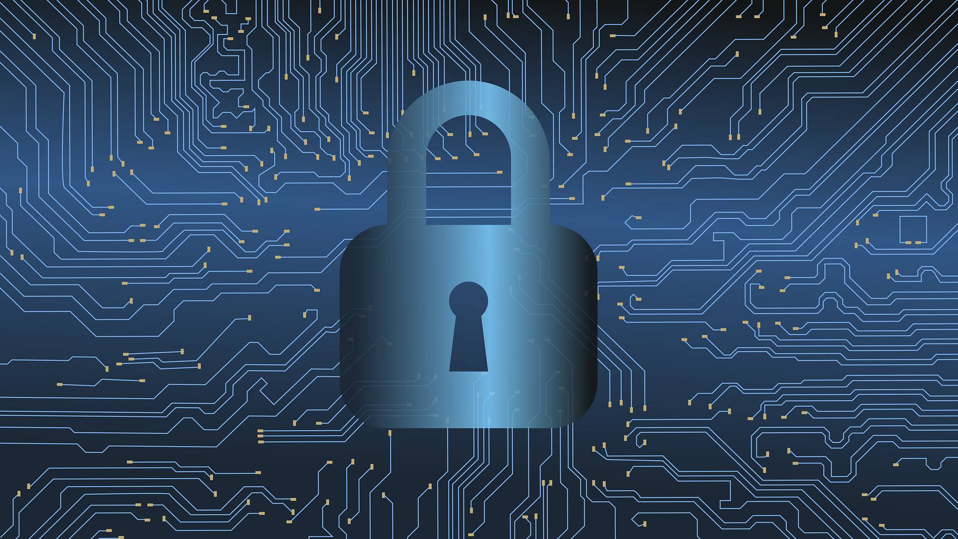 Cybercrime