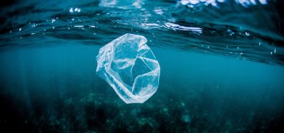 Plastik im Meer als Gif